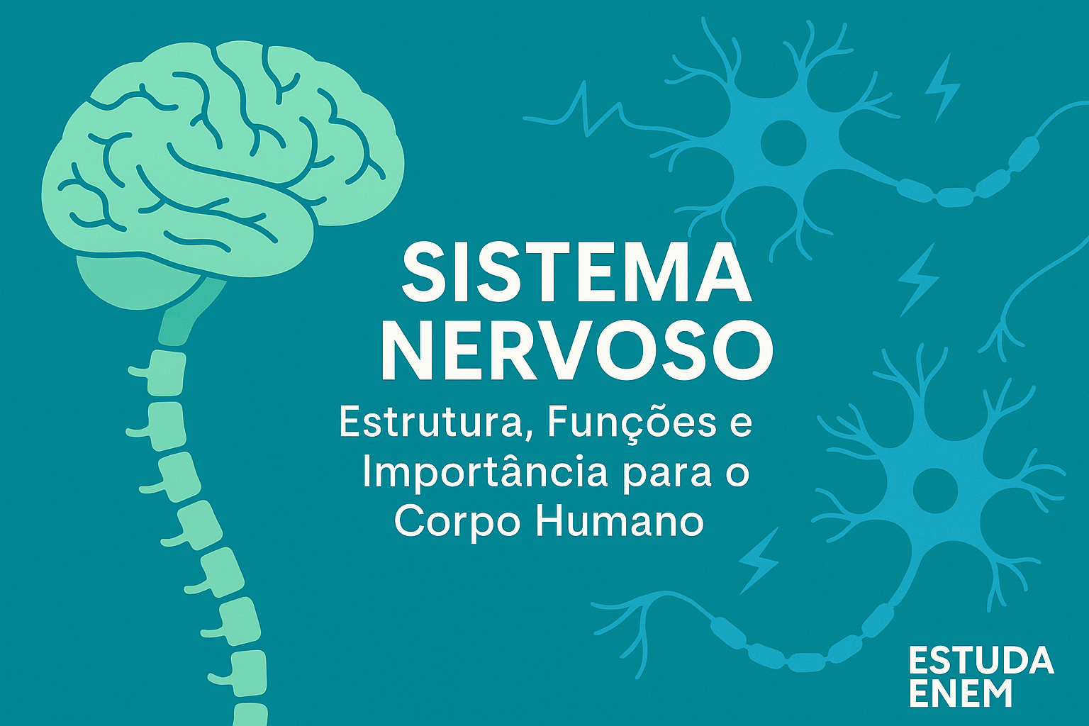 Sistema Nervoso: Estrutura, Funções e Importância para o Corpo Humano
